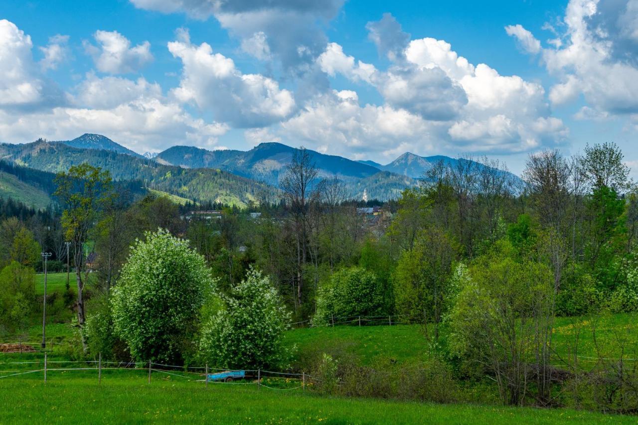 Domek Rogata Chata Deluxe, Koscielisko Bagian luar foto